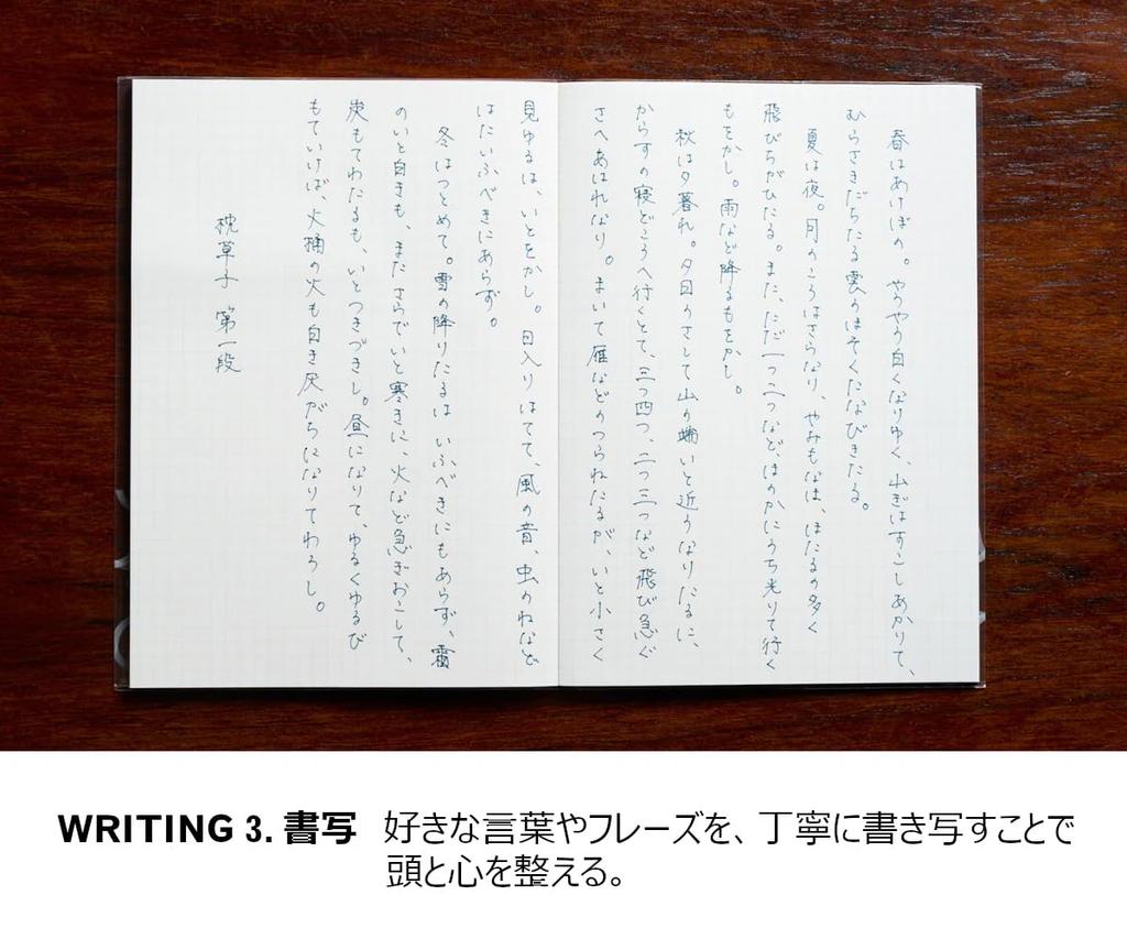 KOKUYO WP Series Pen Writer (Fine WP-F100, Black)