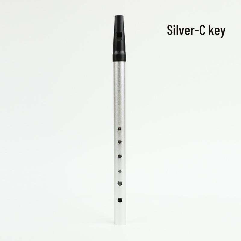 Irish Tin Whistle Beginner Flute, 6-Hole Metal, C & D Key, Soprano Alto Woodwind Recorder