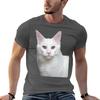 Maine Coon Cat TSHIRT TShirt Gym Wear Breathable Short Sleeve Tee