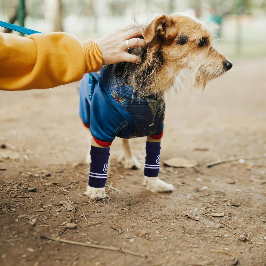 4 st Hundbenskydd Armbågsskydd Stickade Varma Has-skydd Andningsbara Ledskyddssockor För Hundar Skyddande Benlindor