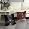 B-Baldurs A-Astarion Gate Pillow Case Pattern Printed Pillowcase For Living Room Sofa Cushion Cover