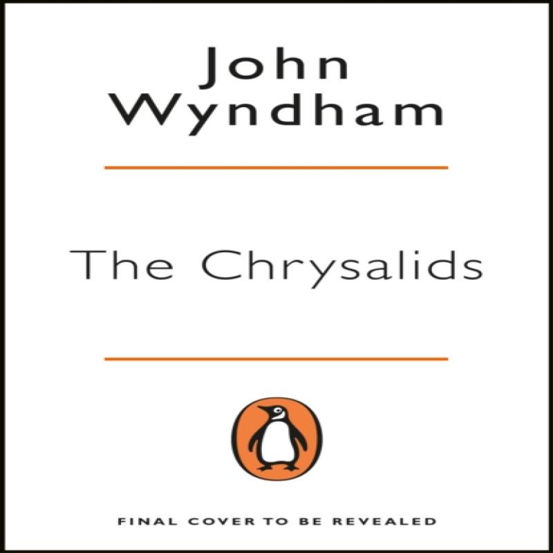 The Chrysalids by John Wyndham Paperback Book 9780241983928