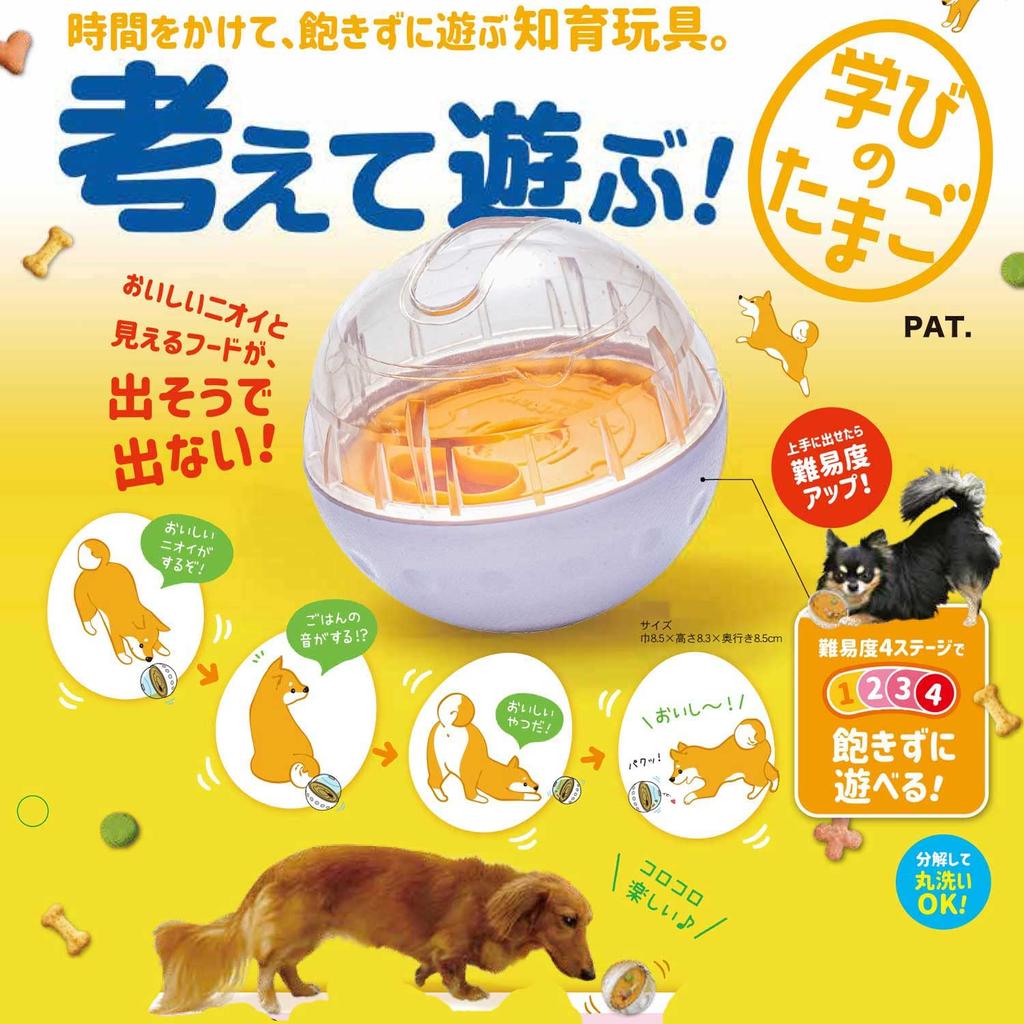 Doggyman Hayashi Think and Learning Egg Play!