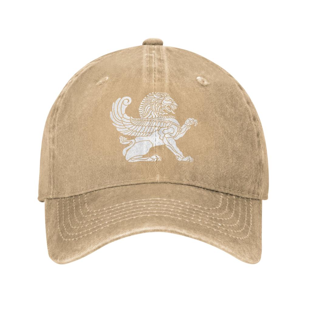 Persian Lion Iranian Baseball Cap Sun Outdoor Gym Sun-Proof Washed Trucker Hat Women Unisex Casual Design Snapback Cap
