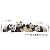 4Pcs Mini Panda Resin Ornaments Cartoon Black And White Panda Decoration Ornaments DIY Micro Landscape Garden Decoration Dolls