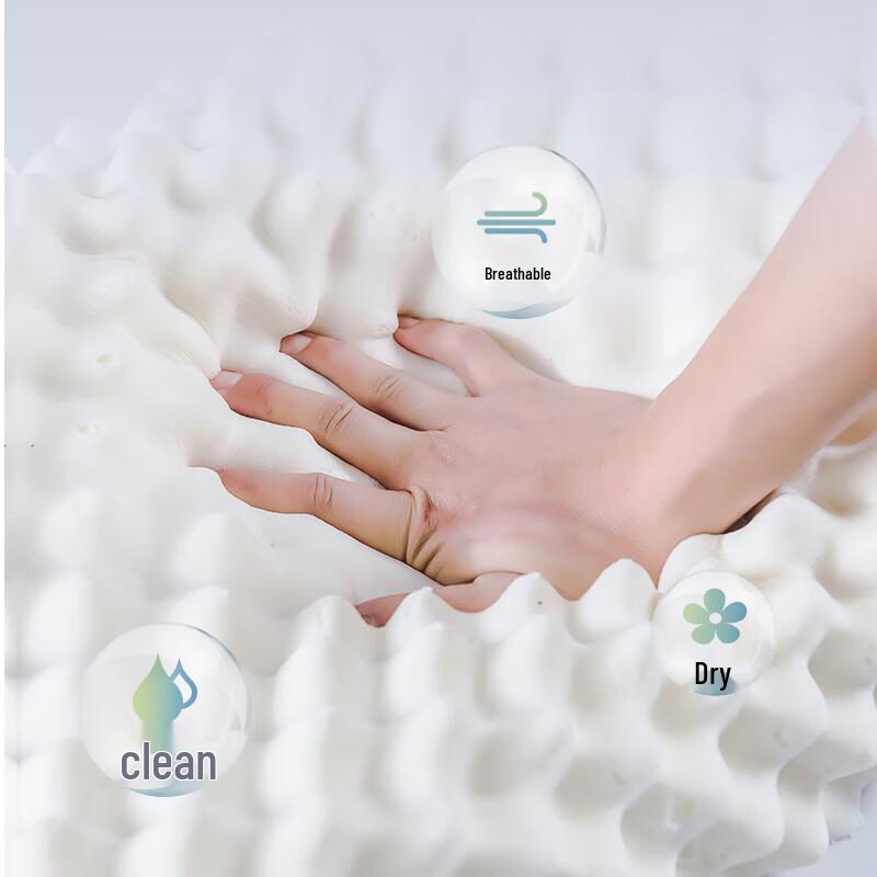 Yu Zhaolin Natürliches Thailändisches Latex Wolfszahn-Kissen Paar