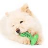 Chikatoy (Green) for Removing Tartar from Your Dog's Teeth