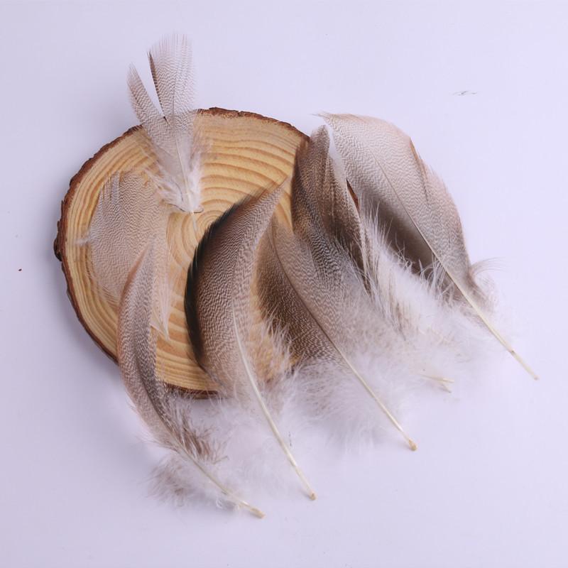 50Pcsdiy Jewelry Accessories Feather Diy Feather Headdress Corsage Hat Shoes Handicrafts Decorative Materials