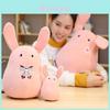 Soft Plush Toilet Bound Hanako-kun Cute Rabbit Nene Yashiro Doll For Anime Fans