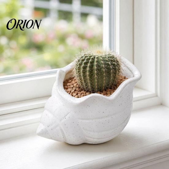 Conch Shaped Planter 3D Printed Flower Pot, Moisture-Resistant Mini with Wavy Edge And Drainage Flowerpot Drain Hole Design, Ocean Style for