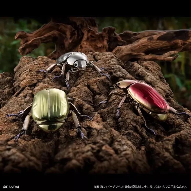 Original Twisted Egg Biological Encyclopedia Scarab Beetles Simulation Model Ornaments Action Figure Toys