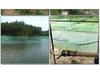 Polyethylene Fishing & Bird Netting for Fish Cage, Chicken Coop, and Partitioning