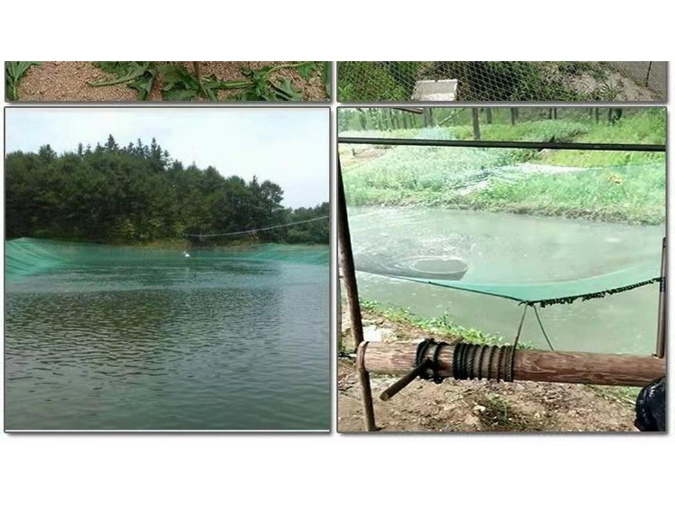 Polyethylene Fishing & Bird Netting for Fish Cage, Chicken Coop, and Partitioning