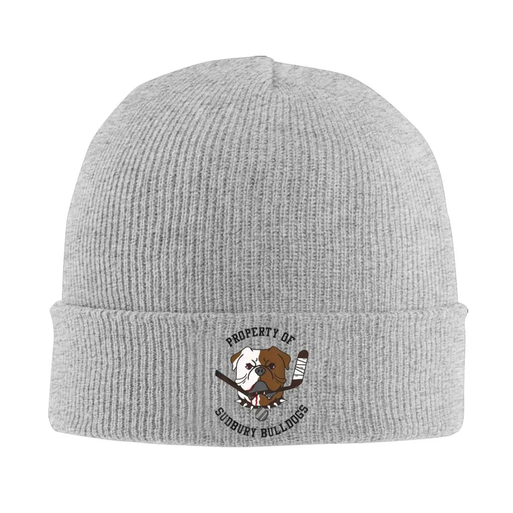 Majetek Sudbury Bulldog Teplá pletená čepice Zimní pletená čepice Čepice Beanie Hip Hop čepice pro Unisex