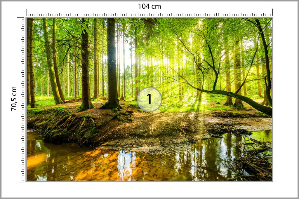 Photomural Beautiful Forest Landscape In Spring In 3D Effect Structural Vinyl 104x70.5