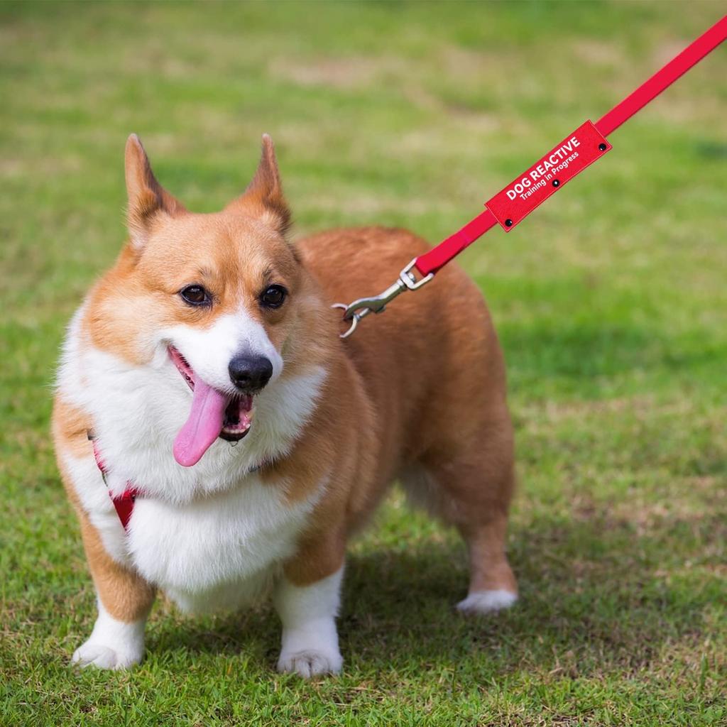 Advivio Dog Reactive Training In Progress Funny Red Dog Leash Sleeve, Wrap Alert Hanging ID Patch Tag for Pet Dog The Best Choice for Daily Walking