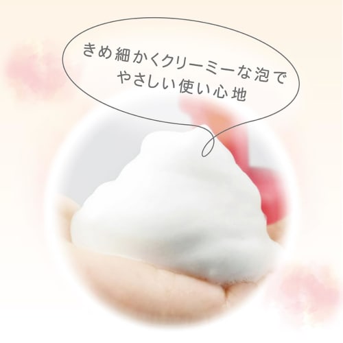 Atopita Moisturizing Foam Soap Refill (300mL x 3) + Atopita Medicated Bath Salt (1-Serving) Set [.co.jp Exclusive]