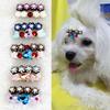 Rhinestone Hair Clip for Small Pets: Maltese, Yorkshire Terrier, Shih Tzu