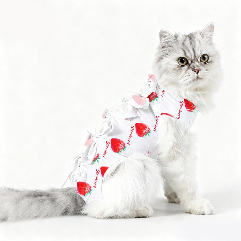 Traje Quirúrgico de Esterilización para Gatas, Traje de Destete, Ropa Anti-mordeduras para Gatos