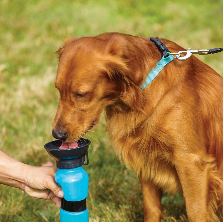 Pet Dog Drinker Portable Outdoor Pet Water Kettle Squeeze Cup Cat Golden Retriever Pet Supplies