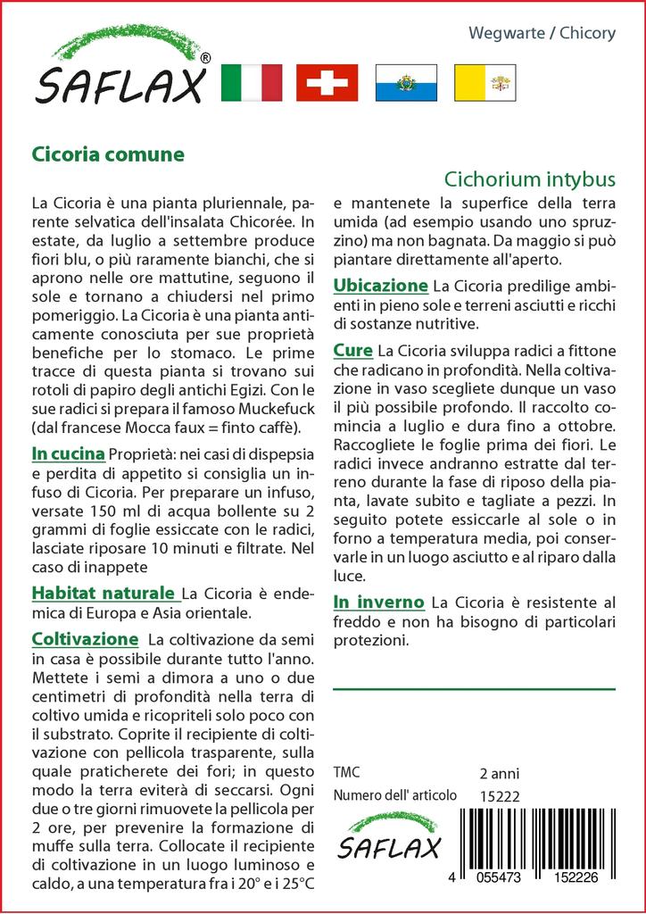 SAFLAX Garden In the Bag - Chicory  - 250 Seeds - With Substrate In a Fitting Stand Up Bag - Cichorium Intybus