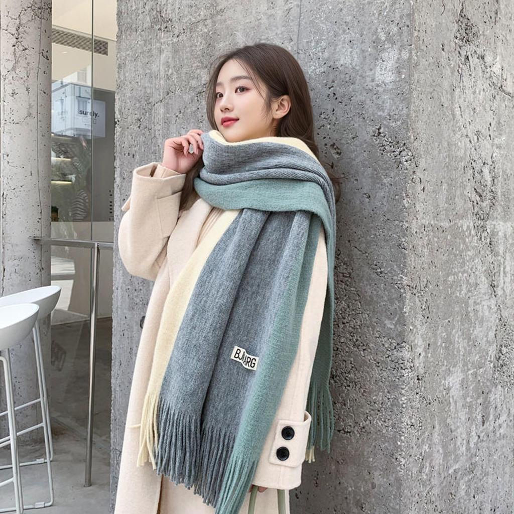 Korean Style Thick Color Block Knitted Scarf for Women, Classic Versatile Imitation Cashmere Winter Shawl