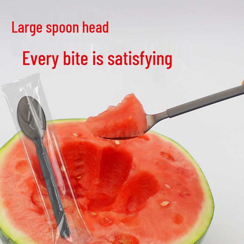 Individually Wrapped Disposable Plastic Spoons