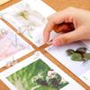 100 Pcs Small Round Pushpins with Box Office Cork Board Supplies for Home Kindergarten School DIY Photo Wall Decoration