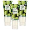 On the Body The Natural Olive Moisturizing Cleansing Foam, 200g, 3 Pcs