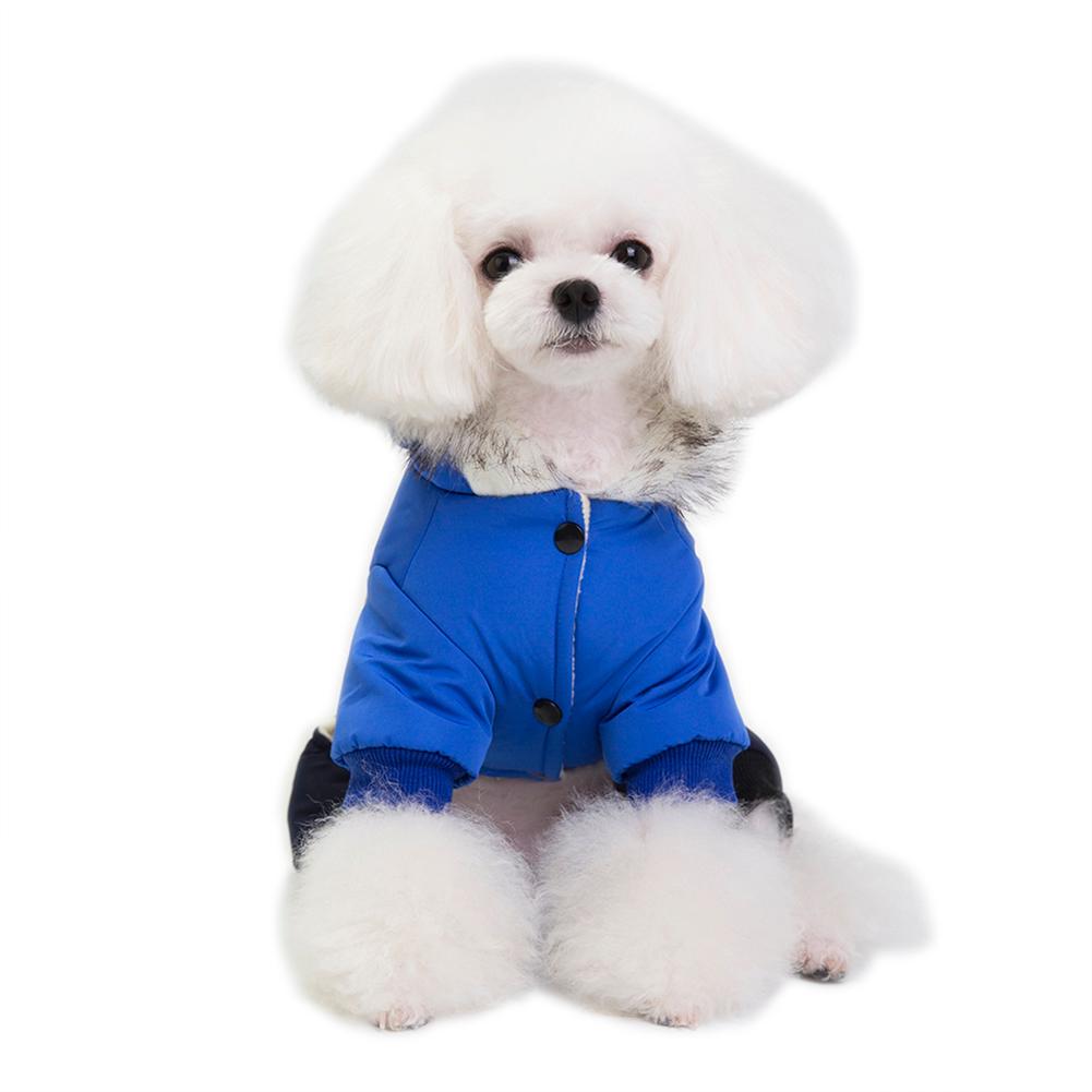 dog clothes store near me