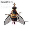 Bee and Fly Attractant Sticky Citrus Trap Ball for Fruit Trees and Melon Orchards
