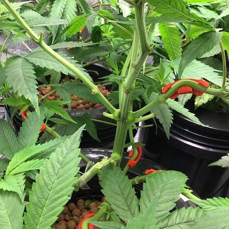 10/20/30PCS 90 Degree Plant Bender for Low Stress Training Plant Training Curved Plant Holder PETG