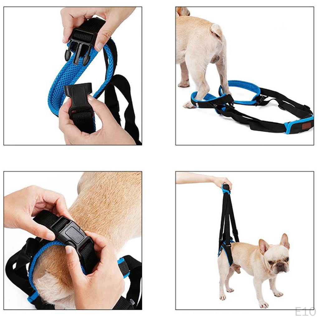 Dog Harness Lifting Aid Walking Aid, Various