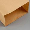 Party Treat Bags Paper for Food Holding 100Pcs Beige Kraft Paper Bags