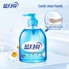Blue Moon Wild Chrysanthemum Antibacterial Hand Wash Set