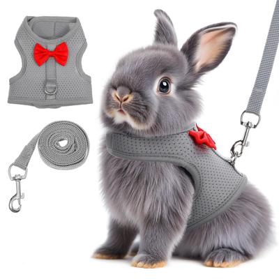 Produtos para animais – Roedores