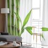 Bamboo Isolated On White Background Tulle Sheer Curtains for Living Room Bedroom Kitchen Decoration Voile Organza Curtains