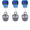 300kg Mini Crane Scale Portable LCD Electronic Digital Industrial Crane Scale Heavy Duty Hanging Weighting Hook Scales