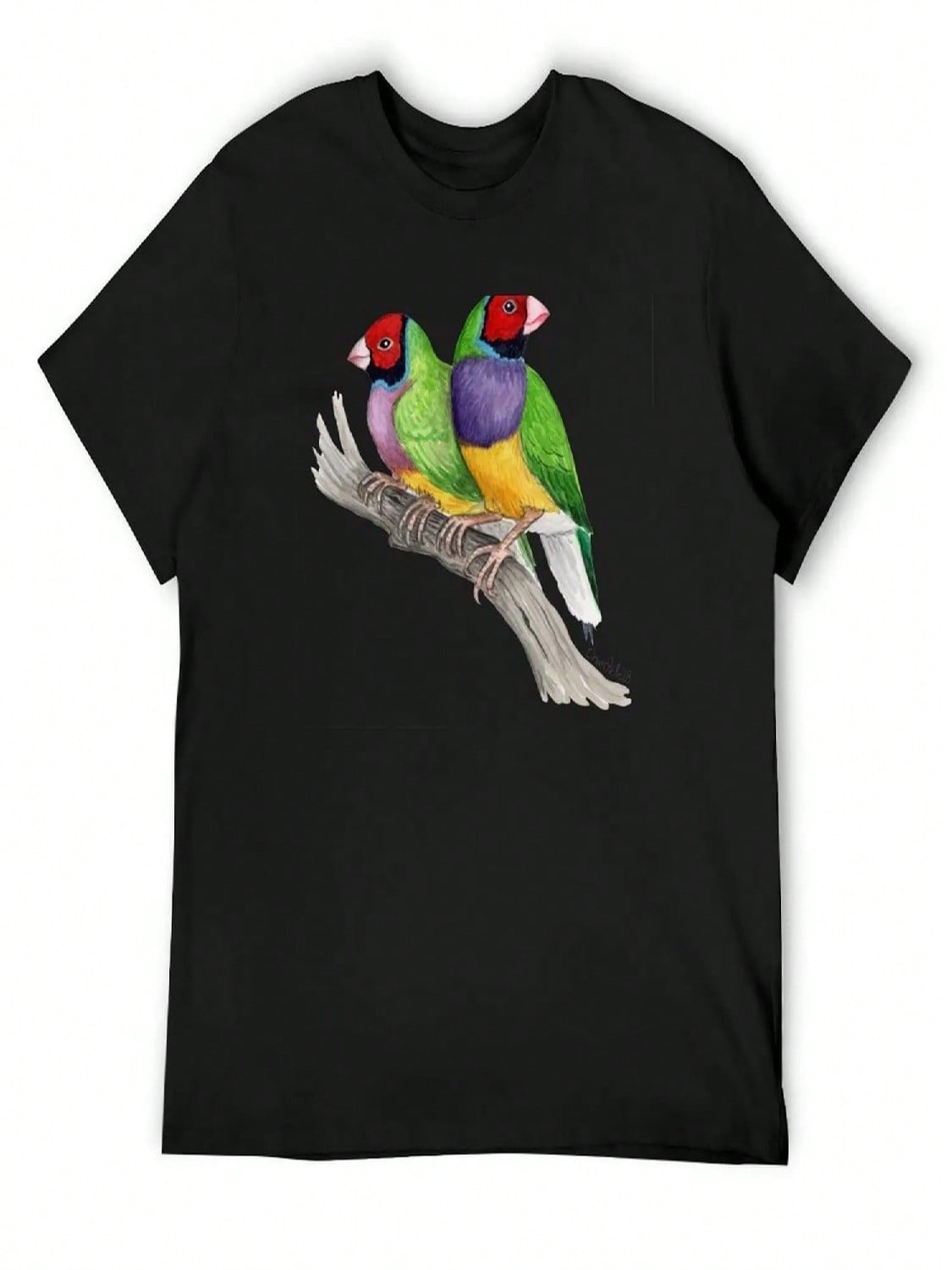 Gouldian Finches T-Shirt Hippie Clothes Clothing Summer Top Plus Size Clothes Shirts Graphic Tee unisex S разноцветный