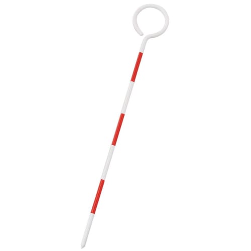 Pin pole 6mm x 300mm