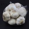 Hanging Bag 100Pcs Mesh Bags Convenient Reusable PE Breathable Garlic Storage Ginger Packing Net Sacks Plastic Buckles for Market