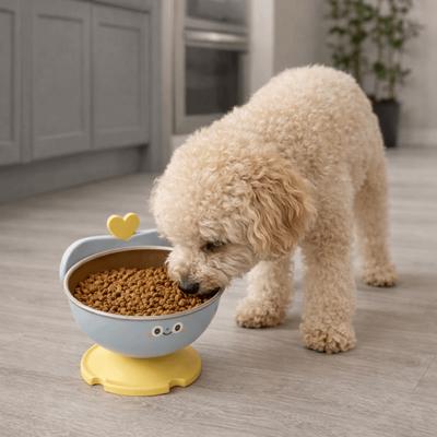 High-Legged Cat Feeding Bowl Anti-Slip No Spill Stainless Steel Dog Bowl Removable Large-Capacity Raised Bowl