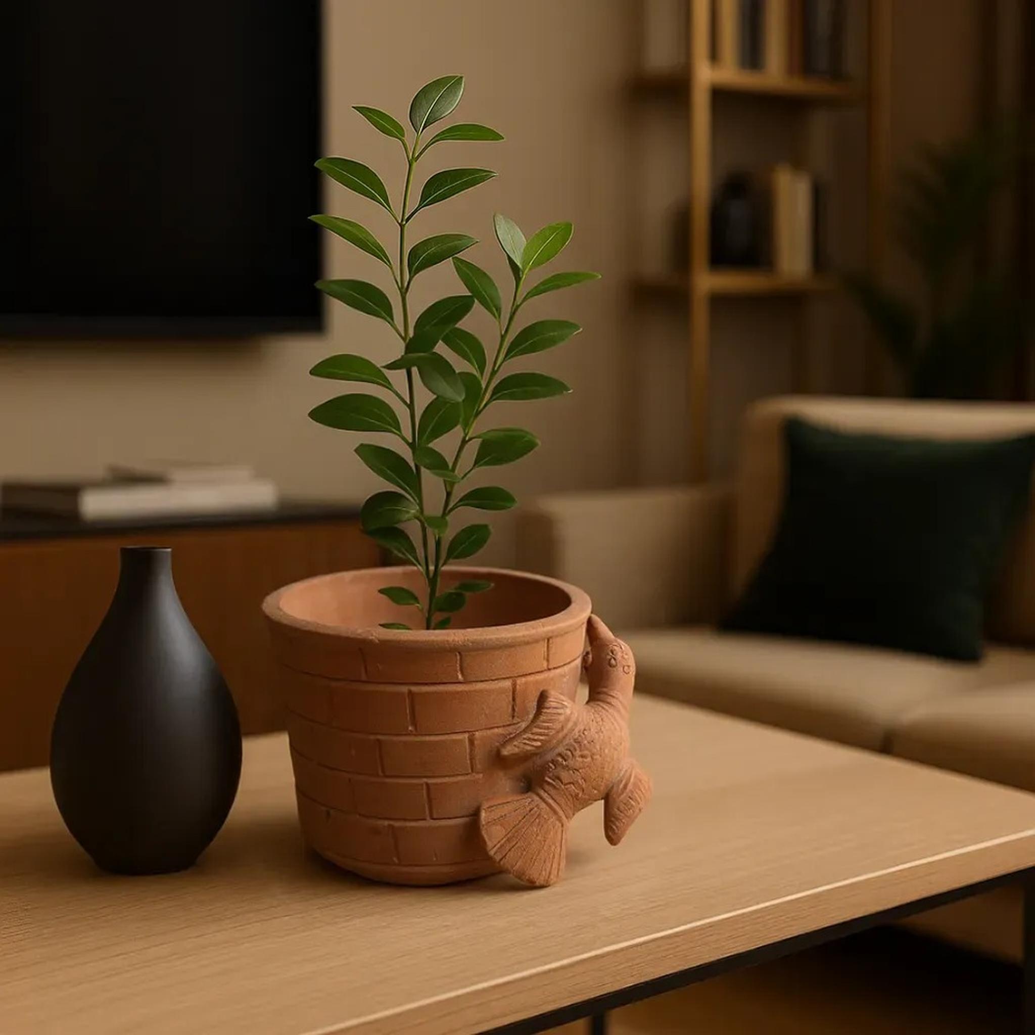 

Terracotta Bird Planter