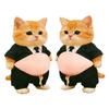 3D Cat Belly Stickers Super Soft Silicone Decor Sticker Cat Squeezeable Toys Cute Stickers Case Decor Stress-relieving Phon O5P4
