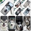 Siberian Husky Sled Dog For Huawei P30 Pro P60 P50 P20 P40 P Smart Nova 9 5T Honor Magic 5 Lite X8 X9 a 50 70 Case