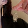 1 Pair Tassel Earrings, Long Temperament Earrings, Versatile And Fashionable Ear Accessories