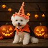 Woven Design Dog Wizard Hat Washable Halloween Pet Hat Funny Cat Headgear  Halloween Party