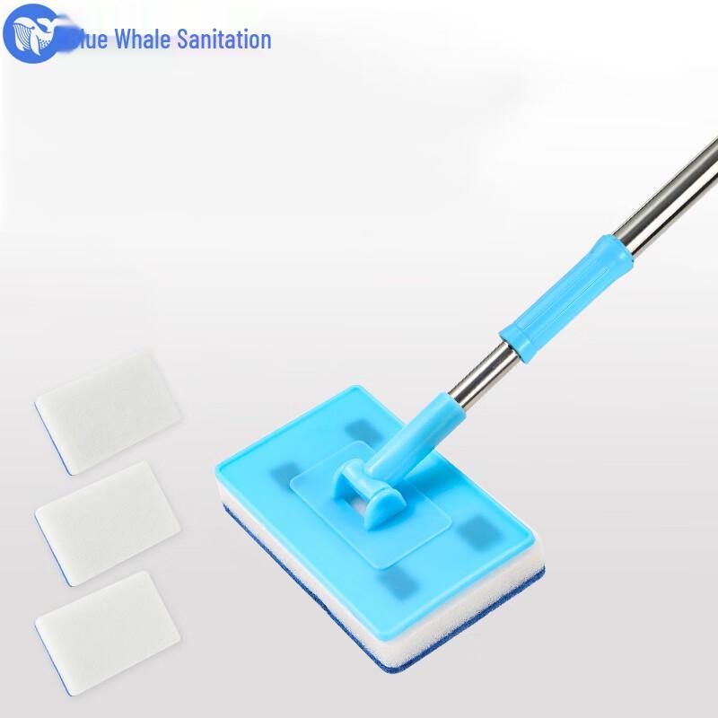 Blue Whale Sanitation Telescopic Sponge Cleaning Brush Kit