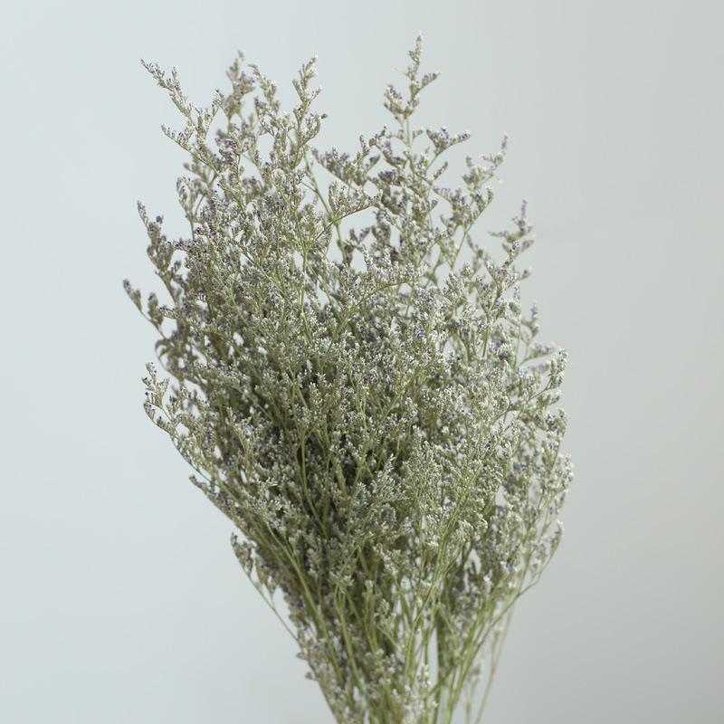 Yunnan Dried & Immortal Flowers Bouquet: Baby's Breath, Roses, Forget-Me-Nots for Home & Homestay Decor
