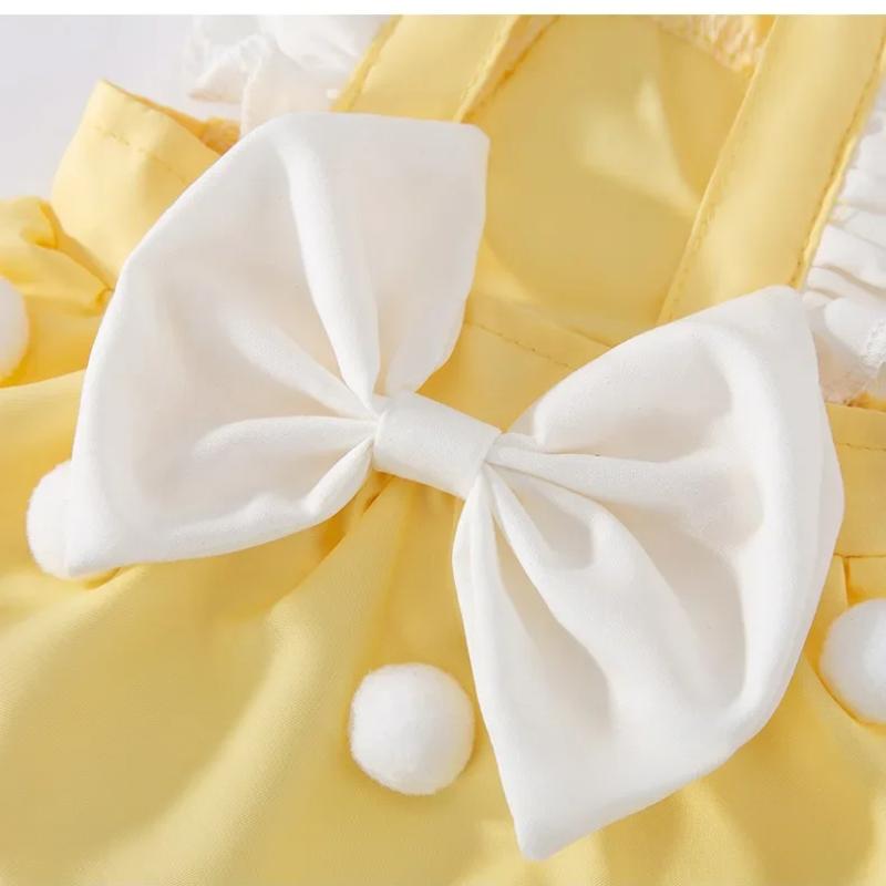 Süße Hundekleidung für kleine Hunde, Teddy, Bichon, Bär, Prinzessin, Windkuchen, Kleid, Kind, Sommerweste, Haustierkleidung